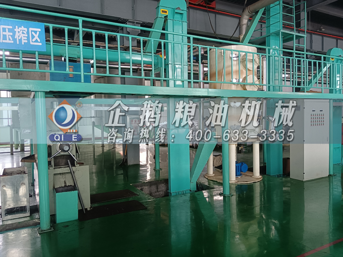 企鵝牌茶籽油雙螺桿榨油機，用心制造獲得客戶認可(圖3)