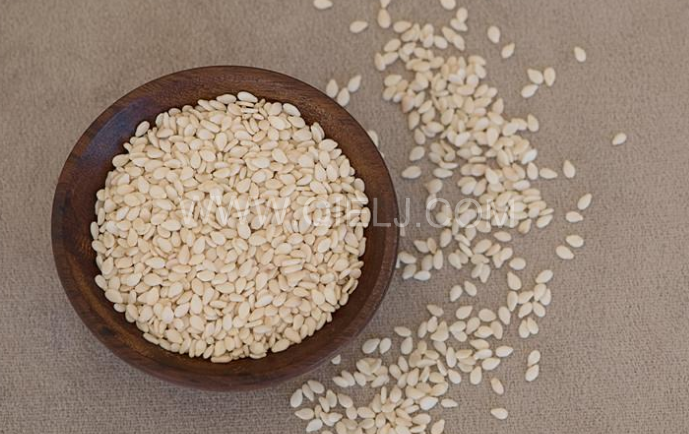 芝麻油壓榨處理設(shè)備，企鵝牌液壓榨油機(jī)勇于創(chuàng)新生產(chǎn)效率高(圖1)