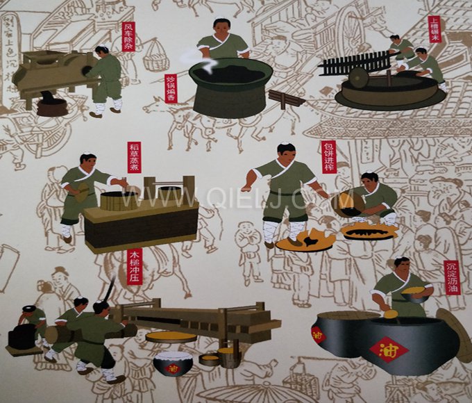 芝麻油提取加工，企鵝糧油機(jī)械生產(chǎn)色香味俱佳的油脂(圖2)